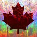 Profile picture smallmir.bsky.social