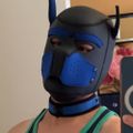 Profile picture cubasisaias5.bsky.social