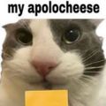 Profile picture my-apolocheese.bsky.social