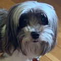 Profile picture sueb53.bsky.social