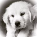 Profile picture alm76.bsky.social