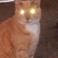 Profile picture wilsonjr2.bsky.social