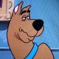 Profile picture kad00dle.bsky.social
