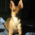 Profile picture rschumacher.bsky.social