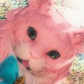 Profile picture habonia.bsky.social