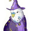 Profile picture calleo.bsky.social