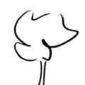 Profile picture baumvisite.bsky.social