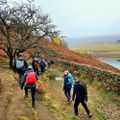 Profile picture hikingmanchester.bsky.social