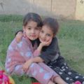 Profile picture noorzohir.bsky.social