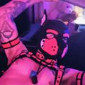 Profile picture lumi.pig.af