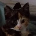 Profile picture junisntdead.bsky.social
