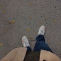 Profile picture badawi-a9.bsky.social