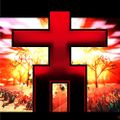 Profile picture mareek.bsky.social