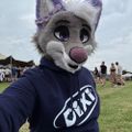 Profile picture paci.pics