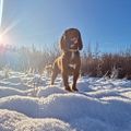 Profile picture bettymacks.bsky.social