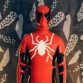 Profile picture lockedspidey93.bsky.social