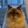 Profile picture dkjones32.bsky.social
