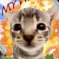 Profile picture sillywash.bsky.social