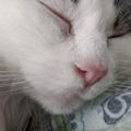 Profile picture ljhatgisdotnet.bsky.social