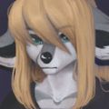Profile picture wieraskydream.bsky.social