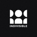 Profile picture indivisibletn.bsky.social