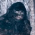 Profile picture pdxsasquatch.bsky.social