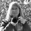 Profile picture simonacerrato.bsky.social