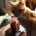 Profile picture garrettcrw.bsky.social