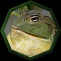 Profile picture frogfractions.bsky.social