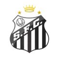 Profile picture santosfc1912.bsky.social