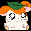 Profile picture hamstermythe.bsky.social