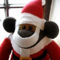 Profile picture scubamonkey.bsky.social