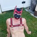 Profile picture pupffury.bsky.social