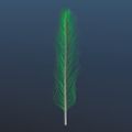 Profile picture wonder-why.bsky.social