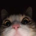 Profile picture jojo3xl.bsky.social