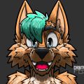 Profile picture cobytheluckyfox.bsky.social