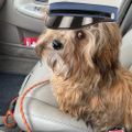 Profile picture prosendal.bsky.social