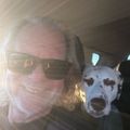 Profile picture revatlarge.bsky.social