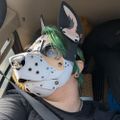 Profile picture dizzy-deer.bsky.social