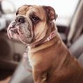 Profile picture wire32.bsky.social