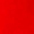 Profile picture confusedfrog.bsky.social