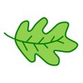 Profile picture leedsleaf.bsky.social