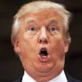 Profile picture trumpdisasters.bsky.social