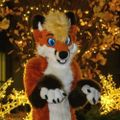 Profile picture arcticwinds.photos