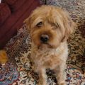 Profile picture leighbee3.bsky.social