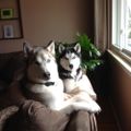 Profile picture kevin464.bsky.social