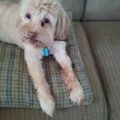Profile picture carolsinclair9566.bsky.social