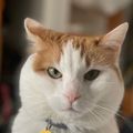 Profile picture thyra9.bsky.social