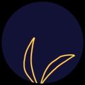 Profile picture pkenshiq.bsky.social