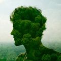 Profile picture transcendentalist.bsky.social